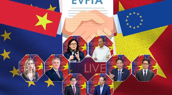 Thủ tướng phê duyệt kế hoạch thực hiện Hiệp định EVFTA