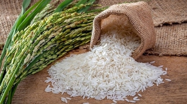 Giá lúa gạo hôm nay ngày 22/8: Giá trong nước tăng, giá xuất khẩu giảm