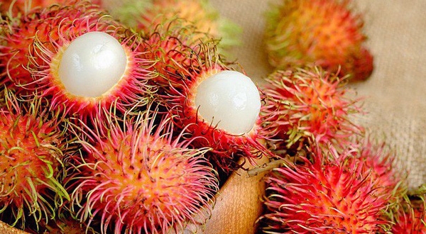 Việt Nam hiện có 6 loại hoa quả được phép xuất khẩu vào thị trường Mỹ