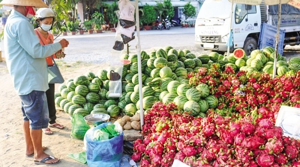 Cần Thơ: Nhiều loại trái cây rớt giá đến mức kỷ lục