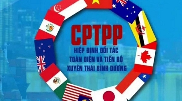 Hướng dẫn thực hiện đấu thầu mua sắm theo Hiệp định CPTPP