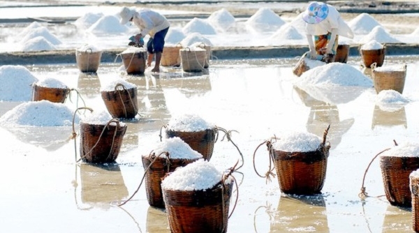 Xúc tiến thương mại, xây dựng nhãn hiệu hàng hóa cho muối xuất khẩu