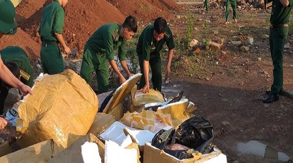 Lào Cai: Phát hiện, tiêu hủy 600 kg gia cầm nhập lậu