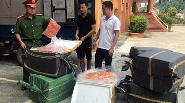 Lào Cai: Bắt giữ 350 kg trứng gà non đông lạnh không rõ nguồn gốc