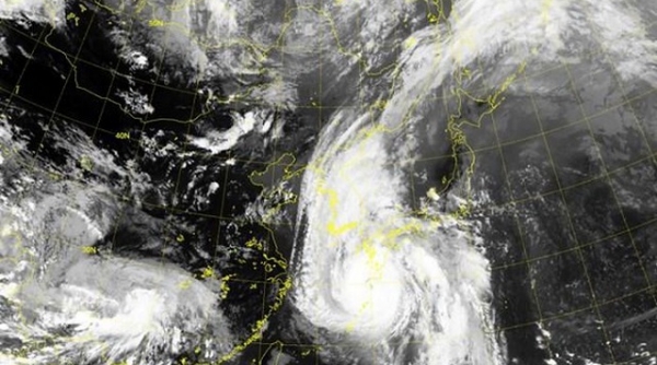 Hàn Quốc: Nâng cảnh báo lên mức cao nhất đề phòng bão Haishen