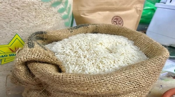 Việt Nam có 9 giống gạo thơm được hưởng hạn ngạch thuế quan khi xuất sang EU