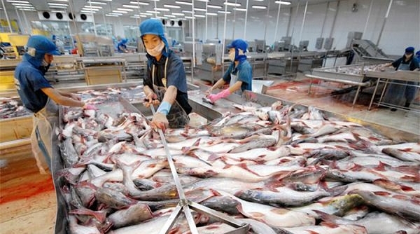 Xuất khẩu cá tra sang Trung Quốc vẫn chưa thể tăng trưởng dương
