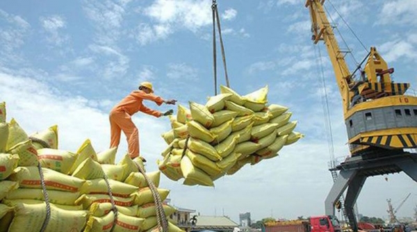 Tiềm năng xuất khẩu gạo thơm của Việt Nam còn rất lớn