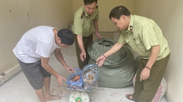 Lạng Sơn: Bắt nhiều vụ vận chuyển nguyên liệu thuốc bắc nhập lậu