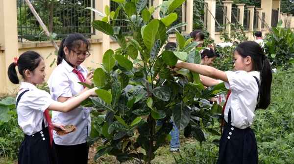 Vinamilk trồng hàng trăm nghìn cây xanh trên khắp Việt Nam để bảo vệ môi trường