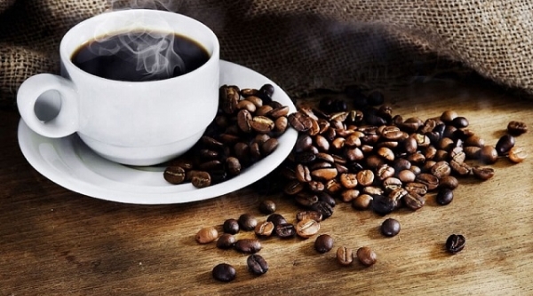 Giá cà phê hôm nay ngày 21/9: Giá giảm mạnh, cao nhất 33.300 đồng/kg