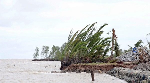 Cà Mau: Xuất hiện 4 đoạn sạt lở bờ biển nghiêm trọng