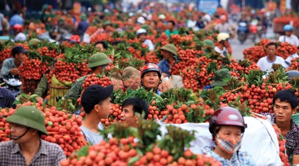 Xuất khẩu rau quả Việt: Hết cảnh “ngóng” thị trường Trung Quốc