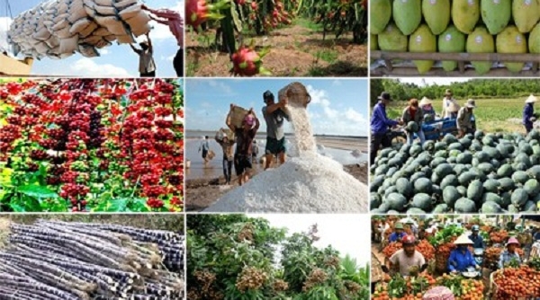 Trên 150 nhà nhập khẩu nước ngoài giao thương trực tuyến với doanh nghiệp nông sản, thực phẩm Việt Nam
