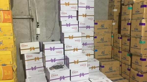 Hà Nội: Phát hiện gần 40.000 chai sữa chua không có hóa đơn chứng từ