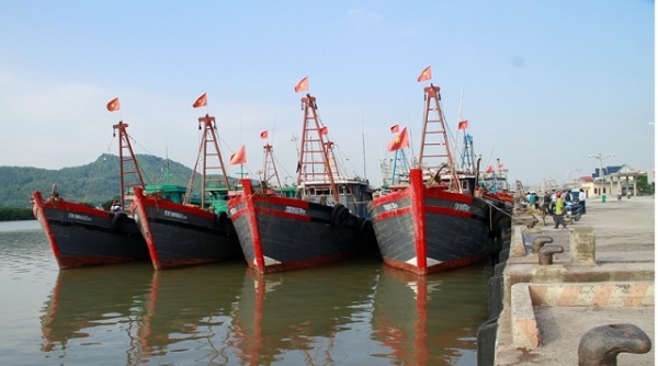 Thanh Hóa công bố mở cửa 3 cảng cá