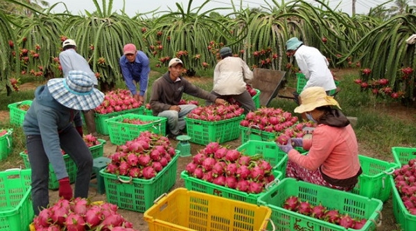 Việt Nam - Lựa chọn lý tưởng về nguồn cung nông sản, thực phẩm