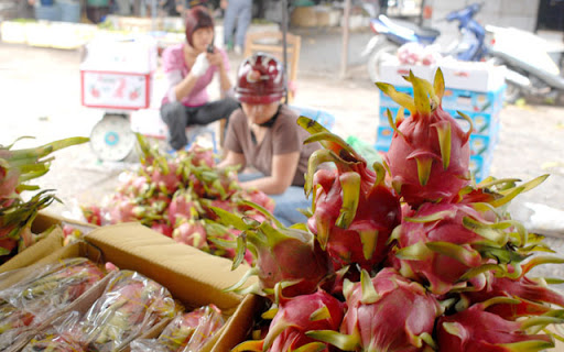 Cơ hội cho các mặt hàng rau, quả Việt Nam vào thị trường EU