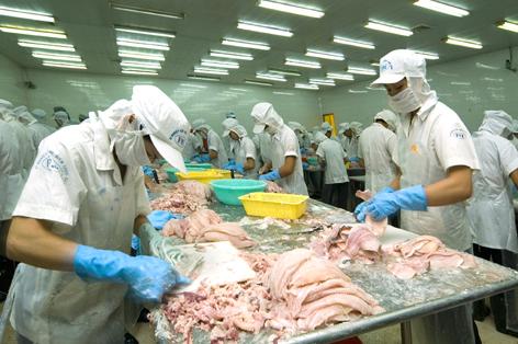 Xuất khẩu mực, bạch tuộc tăng 22% đạt 53,7 triệu USD trong tháng 8
