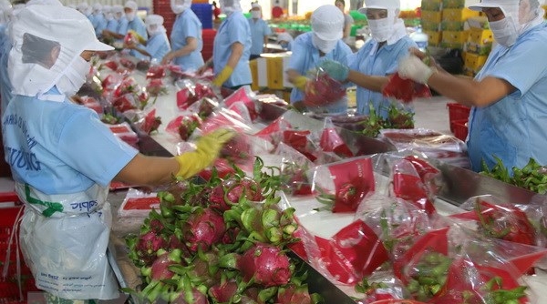 Việt Nam đã có 6 loại trái cây được Hoa Kỳ cho phép nhập khẩu