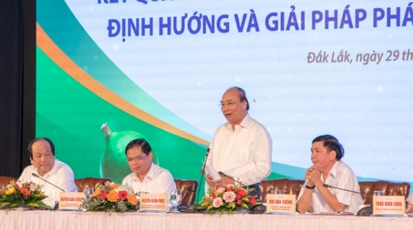 Thủ tướng Nguyễn Xuân Phúc chủ trì hội nghị phát triển cây mắc ca tại Việt Nam