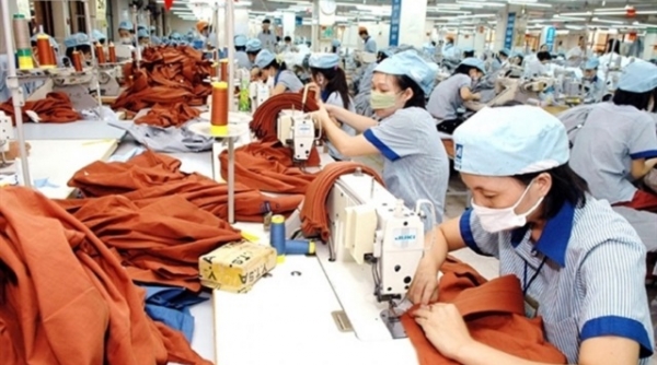Doanh nghiệp Việt dần hồi phục đơn đặt hàng