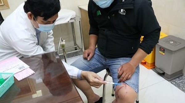 Hà Nội: Hơn 100 người nhập viện do bị kiến ba khoang tấn công