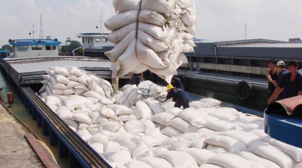 Xuất khẩu gạo đạt hơn 5 triệu tấn trong 9 tháng