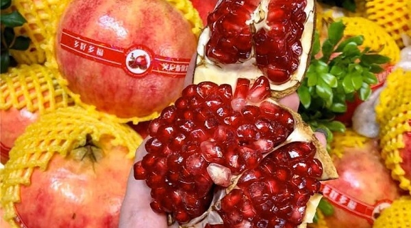 Nhiều loại trái cây của Trung Quốc nhập khẩu vào Thái Lan có nguy cơ tồn dư thuốc trừ sâu cao