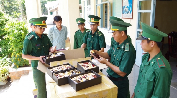 Lực lượng Bộ đội Biên phòng: khởi tố 408 vụ với 498 đối tượng