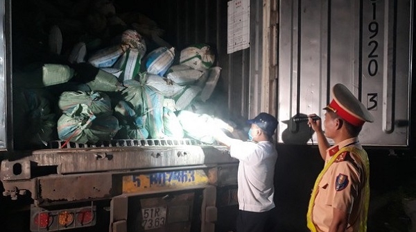 Nghệ An: Bắt xe đầu kéo chở 30 tấn nội tạng lợn bốc mùi hôi thối
