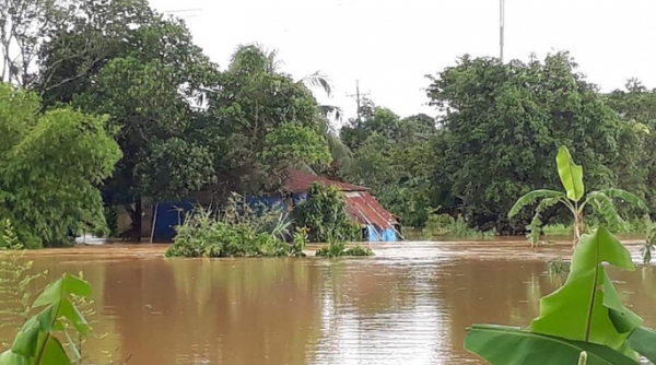 Quảng Ngãi: Hơn 262 ha rau màu bị thiệt hại do bão số 6