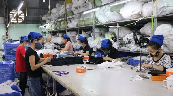 Phú Thọ: 518 doanh nghiệp thành lập mới trong 9 tháng