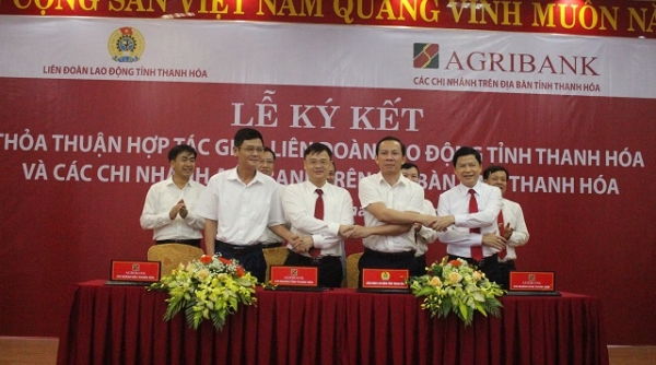Các chi nhánh Agribank Thanh Hóa ký thỏa thuận hợp tác với LĐLĐ tỉnh Thanh Hóa