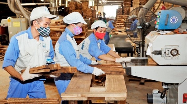 Cảnh báo rủi ro gian lận thương mại đối với mặt hàng đồ gỗ