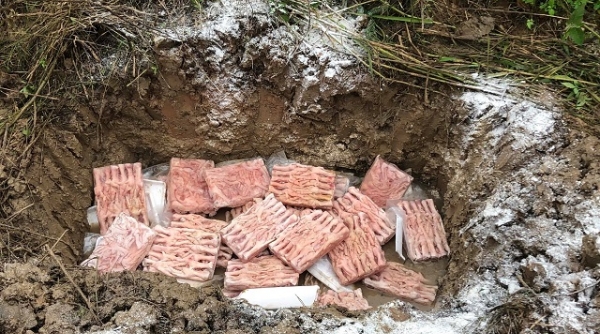 Nghệ An: Phát hiện và tiêu hủy 60 kg chân gà rút xương không rõ nguồn gốc xuất xứ