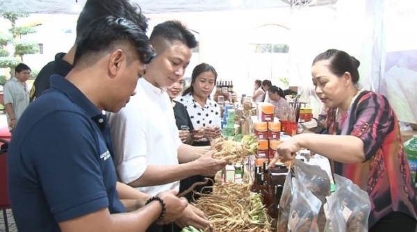 TP. Hồ Chí Minh: Tổ chức Tuần lễ nông sản Lâm Đồng