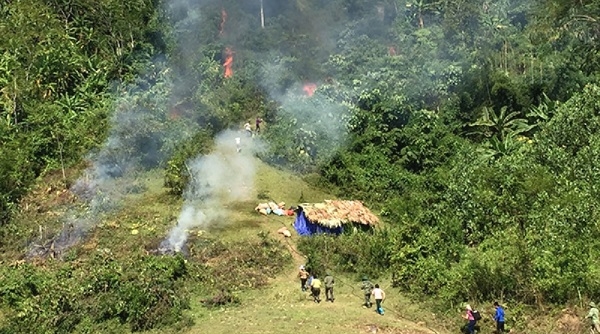 Diễn tập phòng cháy chữa cháy rừng tại Tuyên Quang