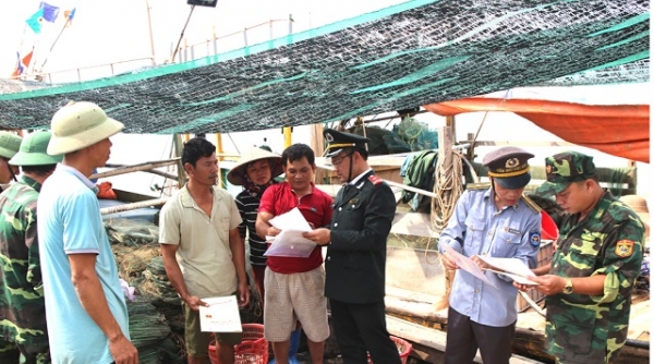 Ninh Bình: Kiểm tra chống khai thác hải sản bất hợp pháp trên vùng biển Ninh Bình
