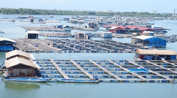 Thanh Hóa: Khó khăn trong tiếp cận các chính sách hỗ trợ phát triển thủy sản