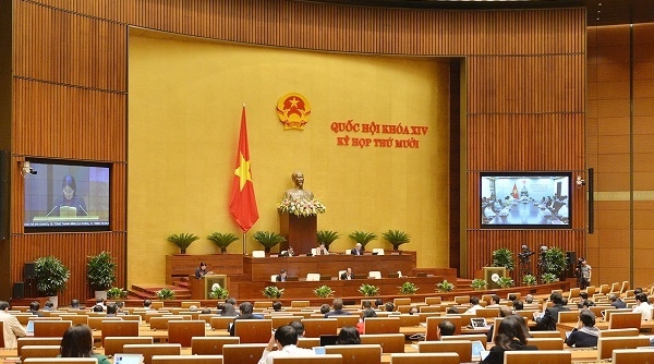Sáng ngày 2/11, kỳ họp thứ 10 của Quốc hội bước vào đợt làm việc thứ 2