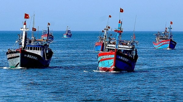 Doanh nghiệp hải sản Việt Nam nỗ lực giữ vững thị trường EU