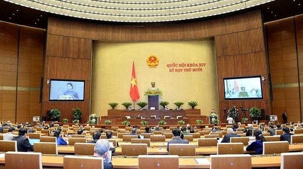 Quốc hội họp tập trung: Bổ nhiệm, miễn nhiệm một số thành viên Chính phủ