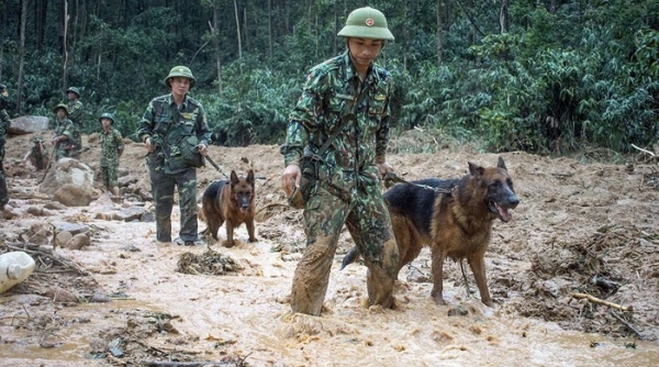 Tập trung tìm kiếm 57 người mất tích ở Thừa Thiên-Huế, Quảng Nam và trên biển