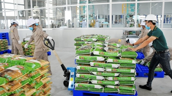 10 tháng, Việt Nam xuất khẩu gần 5,3 triệu tấn gạo