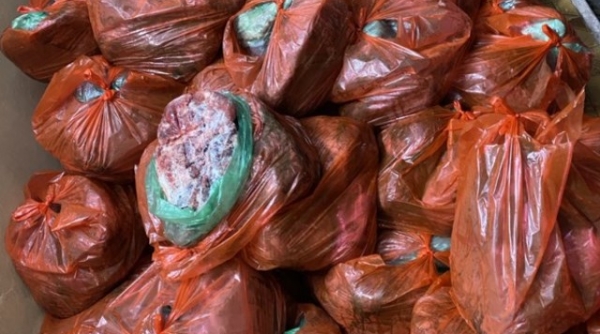 Nghệ An: Phát hiện hơn 8 tạ thịt chim bốc mùi hôi thối trên xe bán tải
