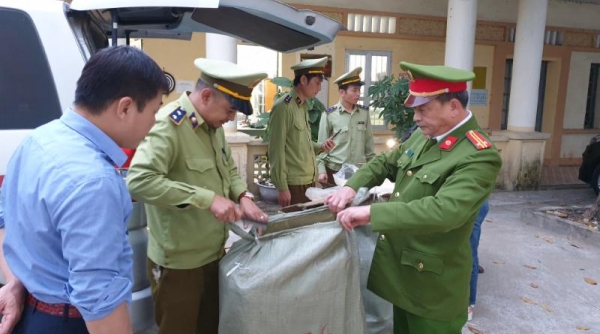 Lạng Sơn: Bắt giữ gần 250kg nguyên liệu thuốc Bắc trên đường đi tiêu thụ