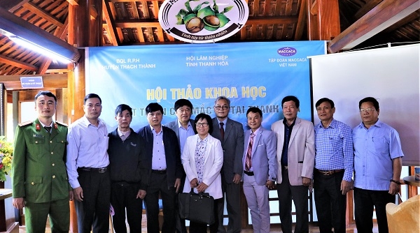Phát triển cây mắc ca: Giải pháp chuyển dịch cơ cấu kinh tế nông nghiệp tỉnh Thanh Hóa