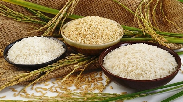 Quy chuẩn kỹ thuật đối với gạo tẻ dự trữ quốc gia