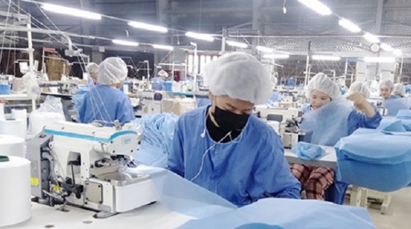 Agribank Nam Thanh Hóa: Đồng hành hỗ trợ doanh nghiệp phát triển sản xuất, kinh doanh